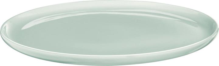ASA Selection hummingbird (21 cm)