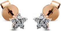 Actual product image Goldberg Diamant Stud earrings 18 ct RG+WG (White gold, Pink gold)