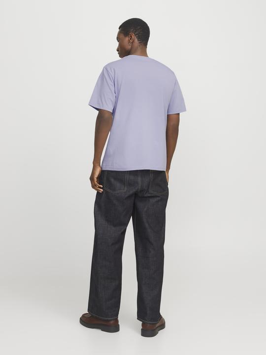 Produktbild Jack & Jones Jorvesterbro Picture Tee Ss Crew Neck Sn (XL)