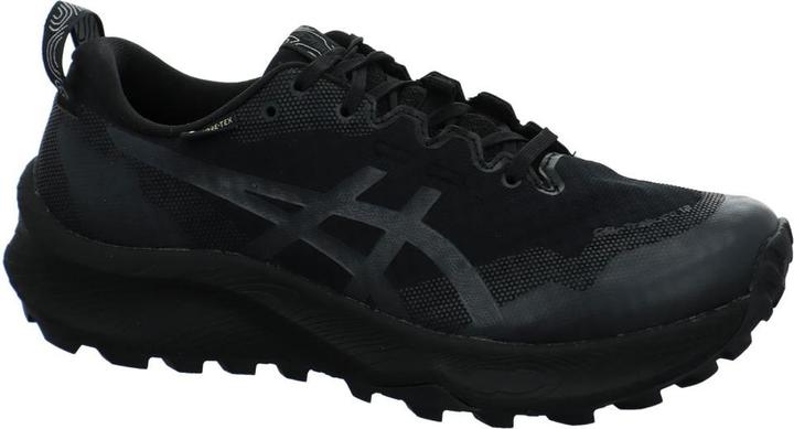 Image du produit ASICS Performance Gel Trabuco GTX (42.5)