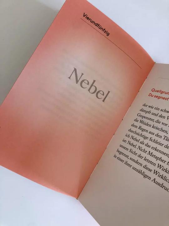 Actual product image Die Kraft des Staunens (German, David Steindl-Rast, 2022)
