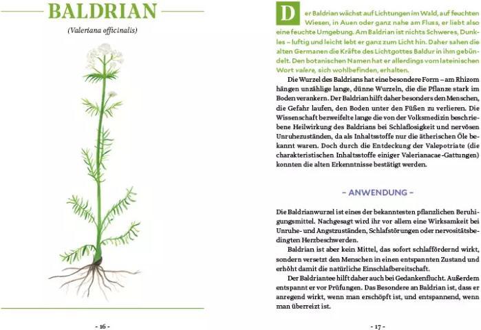Image du produit Die Kraft der Wurzeln (Allemand, Le berceau de Miriam, 2020)