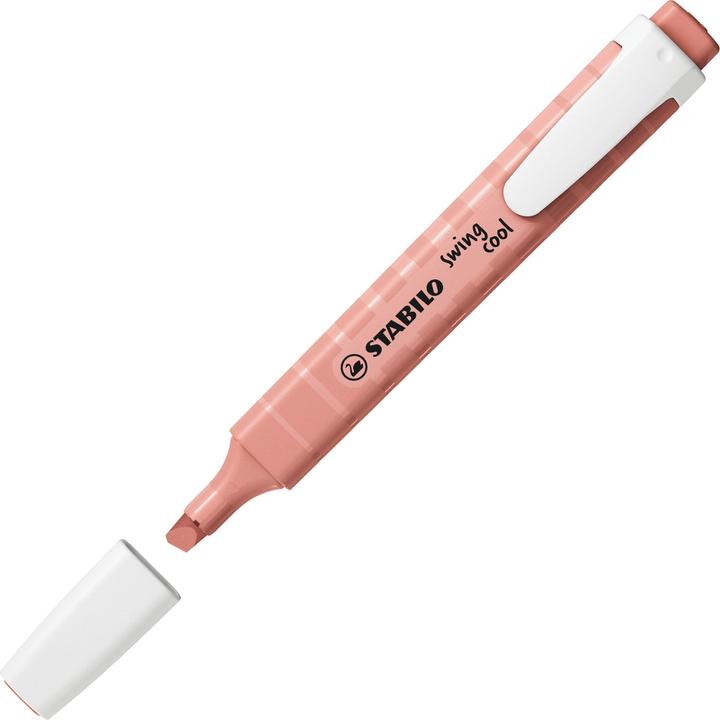 Image du produit STABILO Swing Cool Einzelmarker (Nature sienna, 4 mm, 1 x)