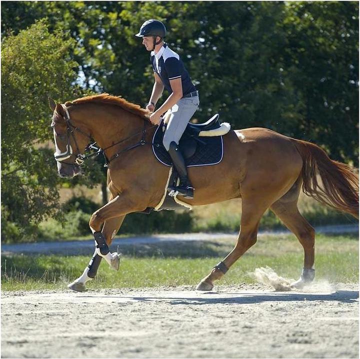 Image du produit Kavalkade Bottes d'équitation en cuir Maximus pour femmes (39, S)