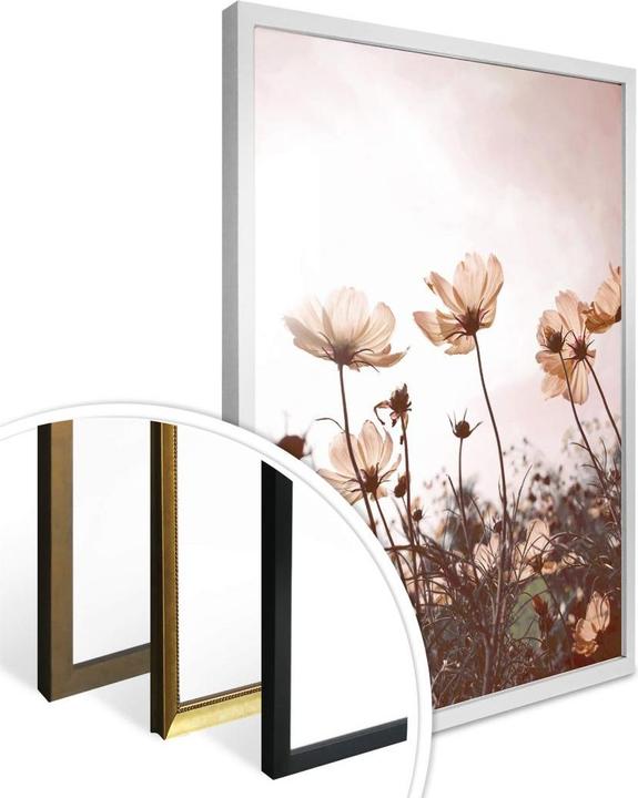 Produktbild Trenddeko Wilde Wiese (60 x 80 cm)