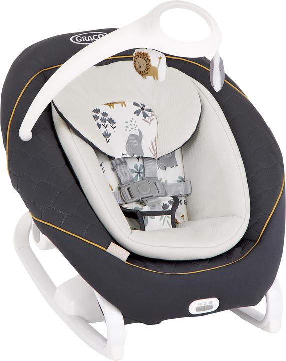 Actual product image Graco All Ways Soother
