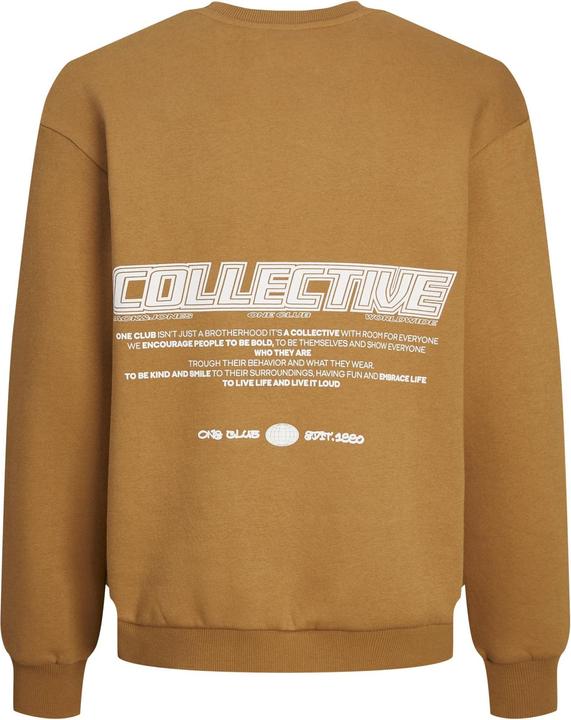 Actual product image Jack & Jones Jorcollect Edt Loose Sweat Crew Jnr (140)