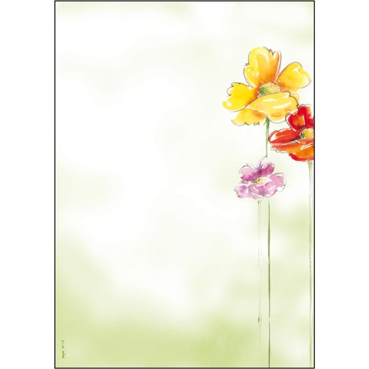 Produktbild Sigel Design-Papier (90 g/m², 50 x)