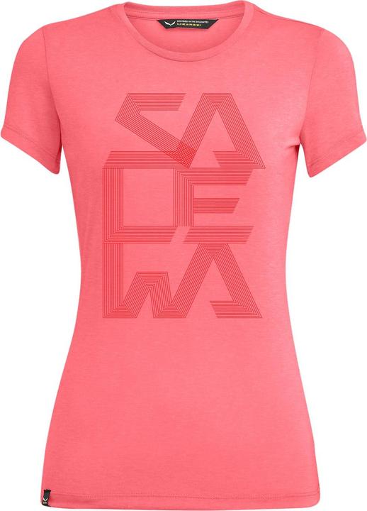 Salewa Print Dry'Ton Da T-Shirt (XS, M)