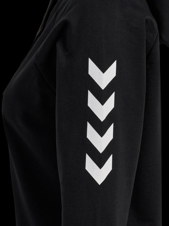 Image du produit hummel Hoodie Go Cotton (M)