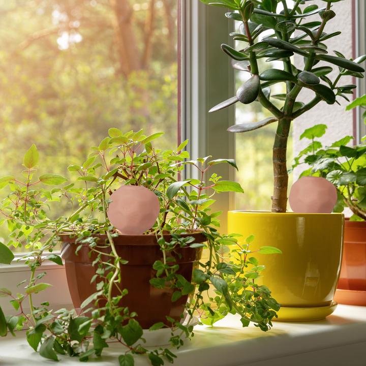 Produktbild Relaxdays 4x Bewässerungskugeln (Bewässerungskugeln)