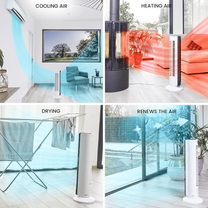 Image du produit Iris Ohyama Ventilateur Woozoo TWFC82T