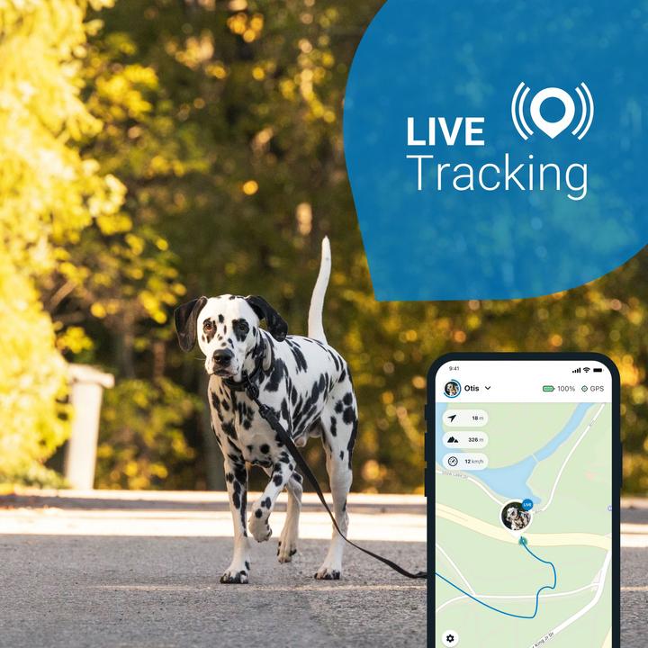 Produktbild Tractive Dog 4 GPS Tracker für Hunde (Hund, Allgemein)