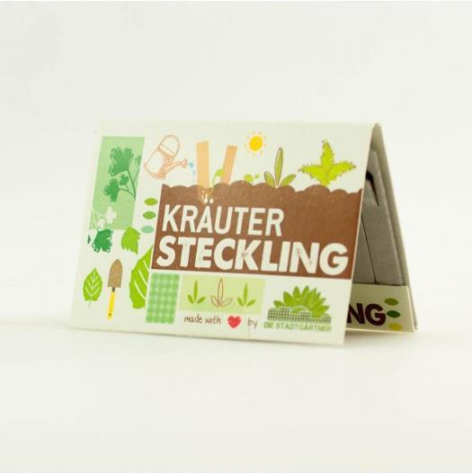 Steckling Kräuter (Kräutersamen)