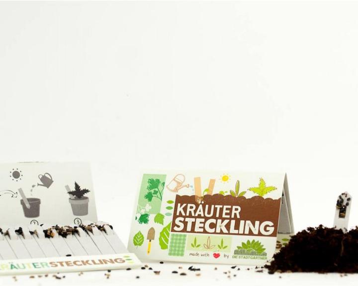 Produktbild Steckling Kräuter (Kräutersamen)