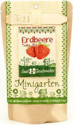 Actual product image Saatgeschwister Mini garden strawberry (red) (Fruit seed)