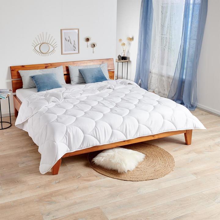 Produktbild Traumschlaf Basic (1848 g, 240 x 220 cm)