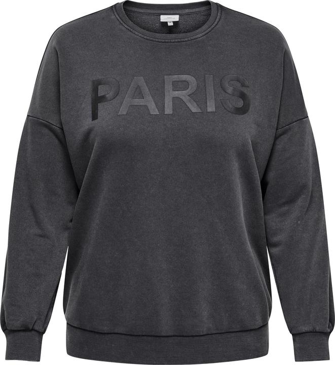 Only CARCARMA Sweatshirt Sweatshirt
