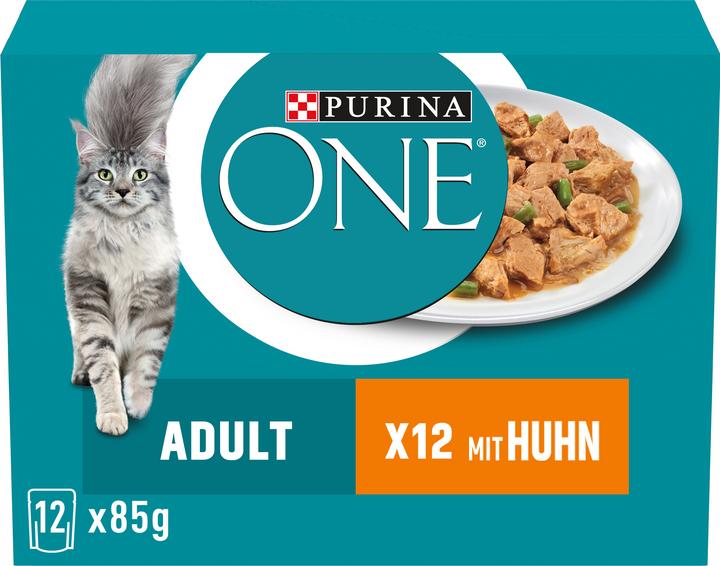 Purina ONE Adult