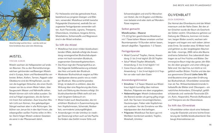 Image du produit Natürliche Blutdrucksenker (Allemand, Claudia Knight, 2021)
