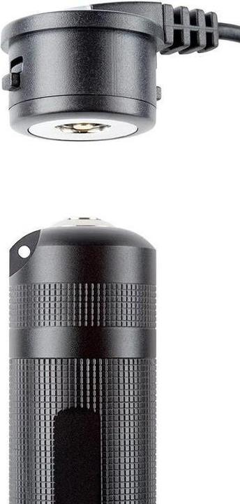 Image du produit Ledlenser P7r (16.60 cm, 1000 lm)