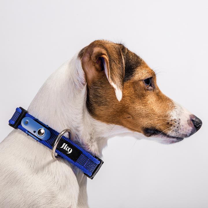 Productafbeelding Tickless Outdoor Collar Hundehalsband Blau (Hond)