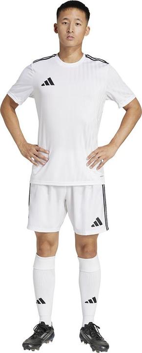 Immagine prodotto adidas Tastigo25 Breve (3XL)