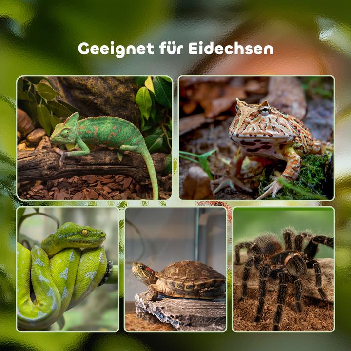 Image du produit PawHut Terrarium