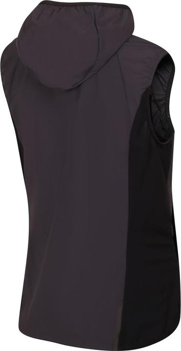 Actual product image Directalpine Element Lady 1.0, Weste, Damen (Athletic Fit) - Direct Alpine, 300 (S)