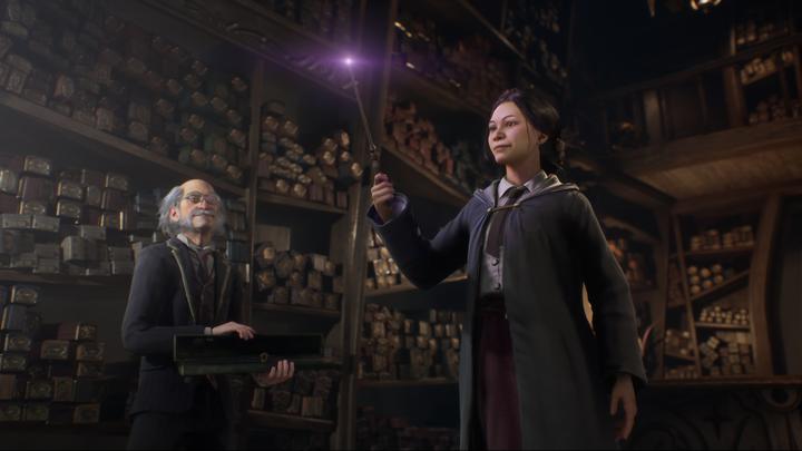 Actual product image WB Hogwarts Legacy PS-5 (PS5, DE)
