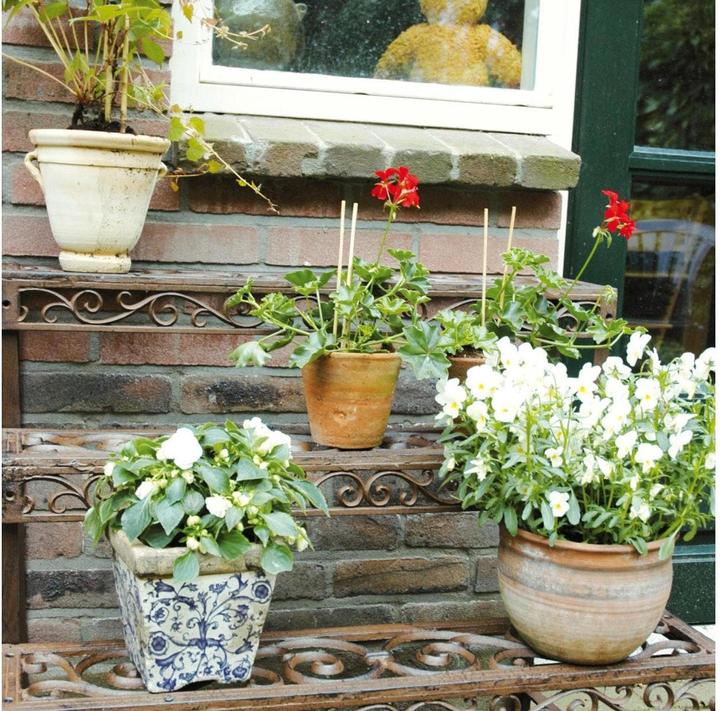 Produktbild Esschert Design Blumentreppe