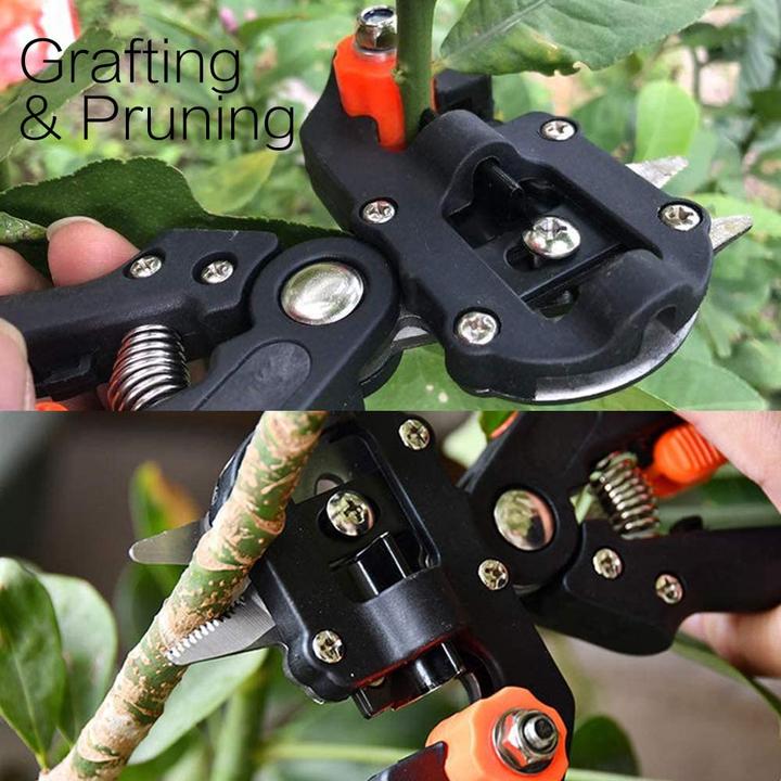 Actual product image Yolando Grafting Scissors Set
