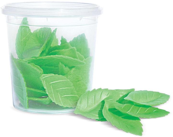 Produktbild ScrapCooking Grüne Blätter (24 x)