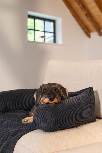Image du produit Designed by Lotte Ribbed (Chien)