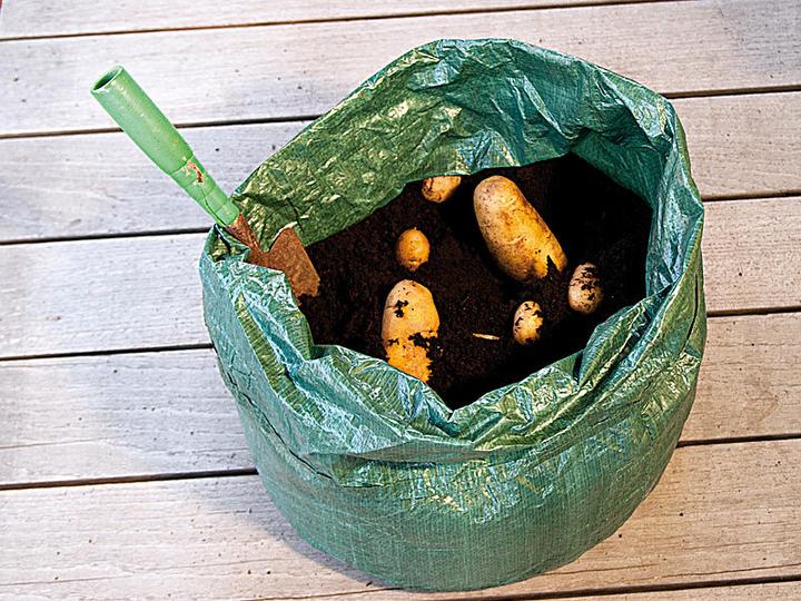 Actual product image Royal Gardineer Set of 3 planting bag for potatoes & co., carrying handles & drainage holes