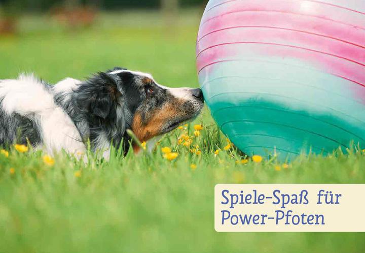 Actual product image Spiele und Action für ausgeglichene Hütehunde (German, Marion Albers, 2023)