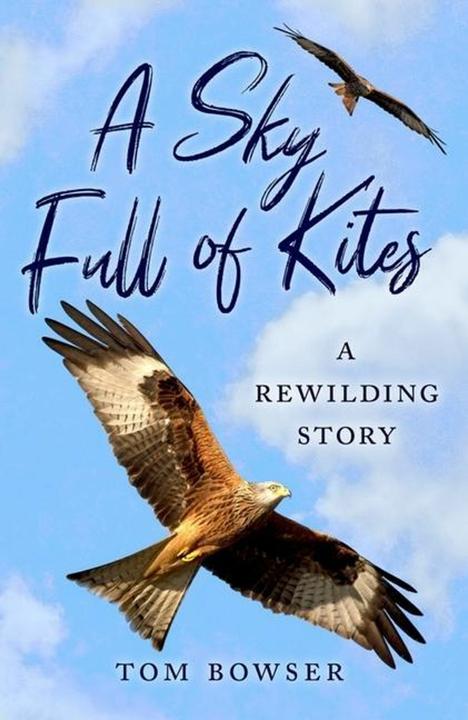 Image du produit A Sky Full of Kites (Anglais, Tom Bowser, 2024)