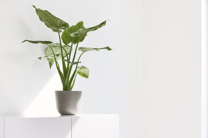 Produktbild Ecopots Oslo Mini (16 cm)