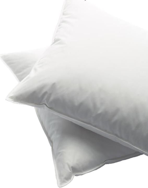 Produktbild Billerbeck Jerry (50 x 70 cm)