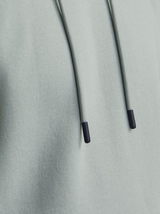 Image du produit Jack & Jones Jjebradley Sweat Hood Noos (XS)