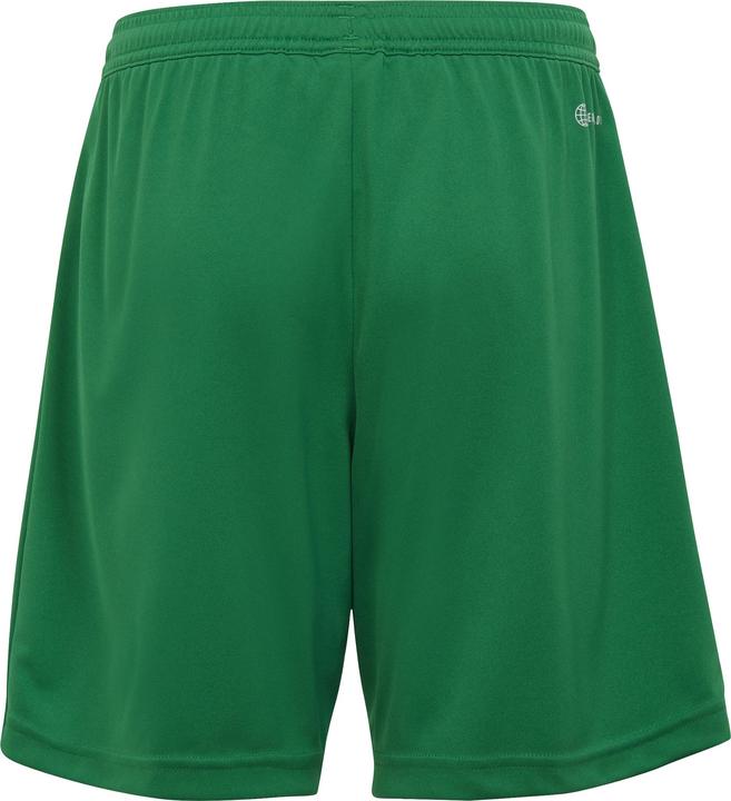 Actual product image adidas Children's shorts Entrada 22 green IC7410 (116cm) (116)