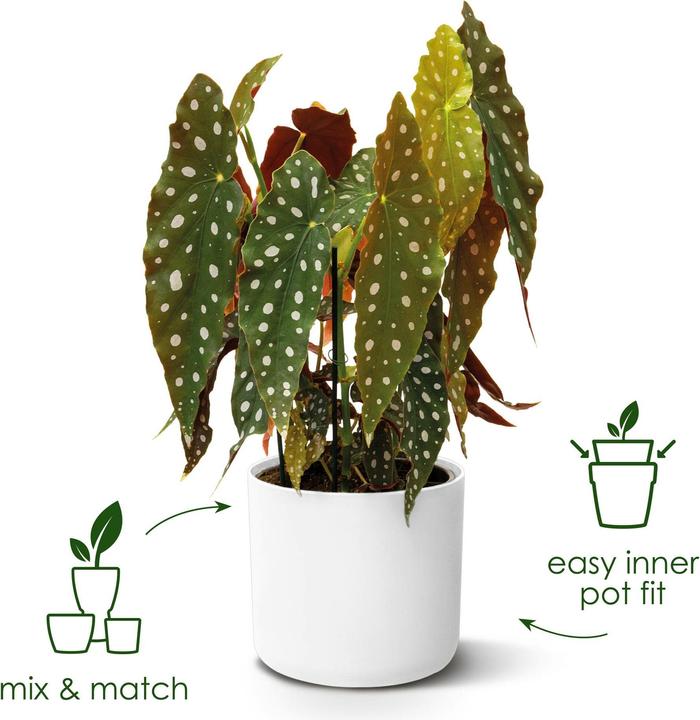 Immagine prodotto Elho b.for soft (13.80 cm)