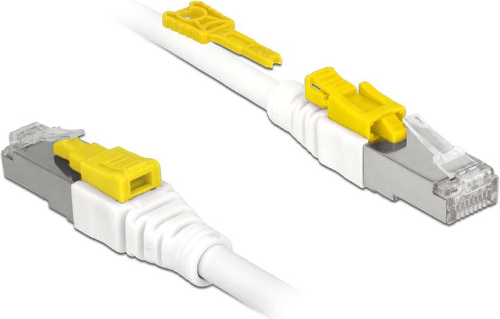 Produktbild Delock Patchkabel: S/STP, 1m, weiss (S/STP, CAT6a, 1 m)
