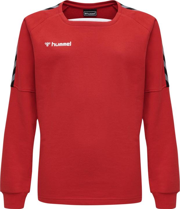 Produktbild hummel Authentic Kids Training Sweat (152)
