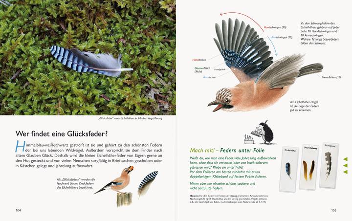 Produktbild Wawra's Naturbuch, Band 1: Säugetiere, Vögel, Reptilien, Amphibien (Deutsch, Johannes Wawra, Ursula Wawra, 2020)