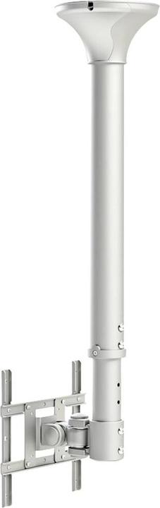 Actual product image Neomounts Fpma-C200 (Ceiling, 40")