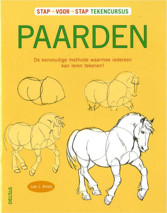 Produktbild Schritt für Schritt zeichnen Kurs Pferde