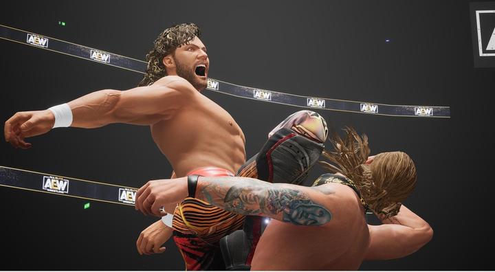 Actual product image THQ AEW: Fight Forever (PS4, PS5, DE)