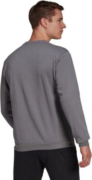 Image du produit adidas Sweat-shirt Entrada 22 Hommes (L)