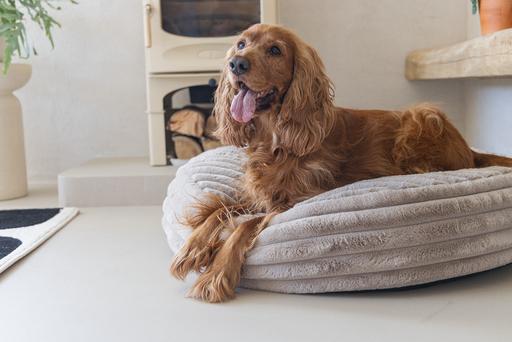 Actual product image Designed by Lotte Reza reclining cushion (Dog)